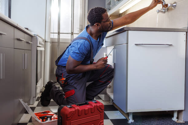 Best Residential Plumbing Services  in Horace, ND